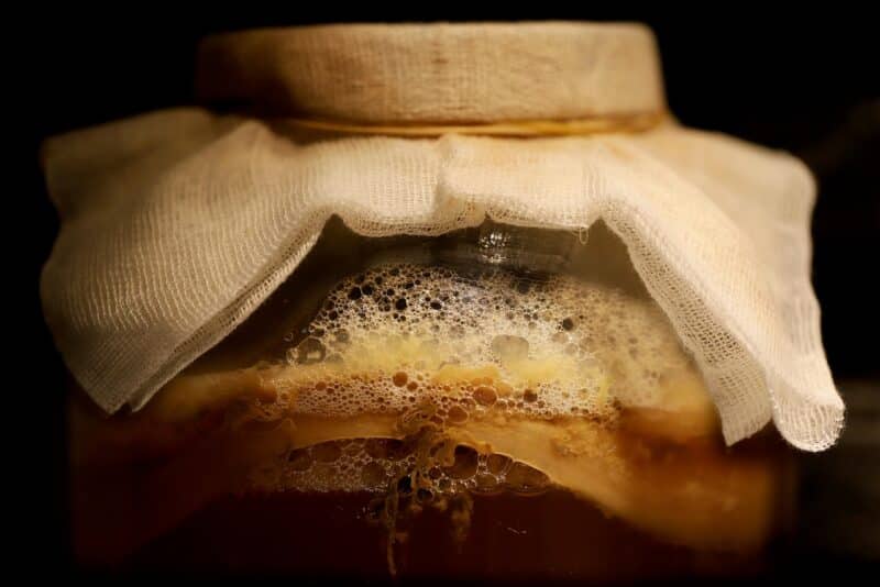 Kombucha caseira: guia completo para fermentar seu primeiro lote sem erros