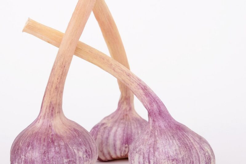 Cascas, Talos e Folhas: O Aproveitamento Integral dos Alimentos Que Nutre e Combate o Desperdício