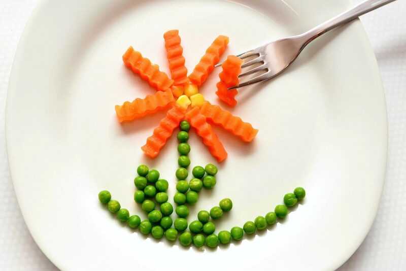 Congelamento Inteligente: Como Ter Sempre Comida Saudável Pronta Sem Perder Sabor e Textura