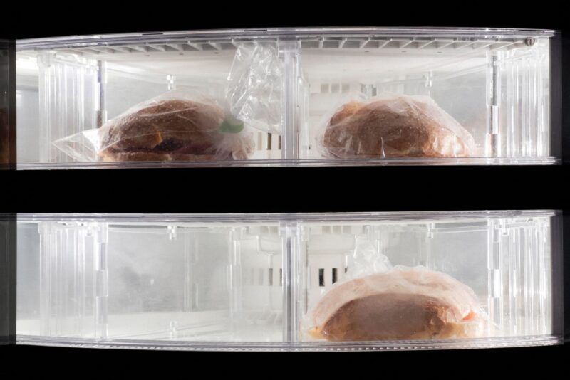 Congelar sem erro: como preservar sabor, textura e segurança dos alimentos